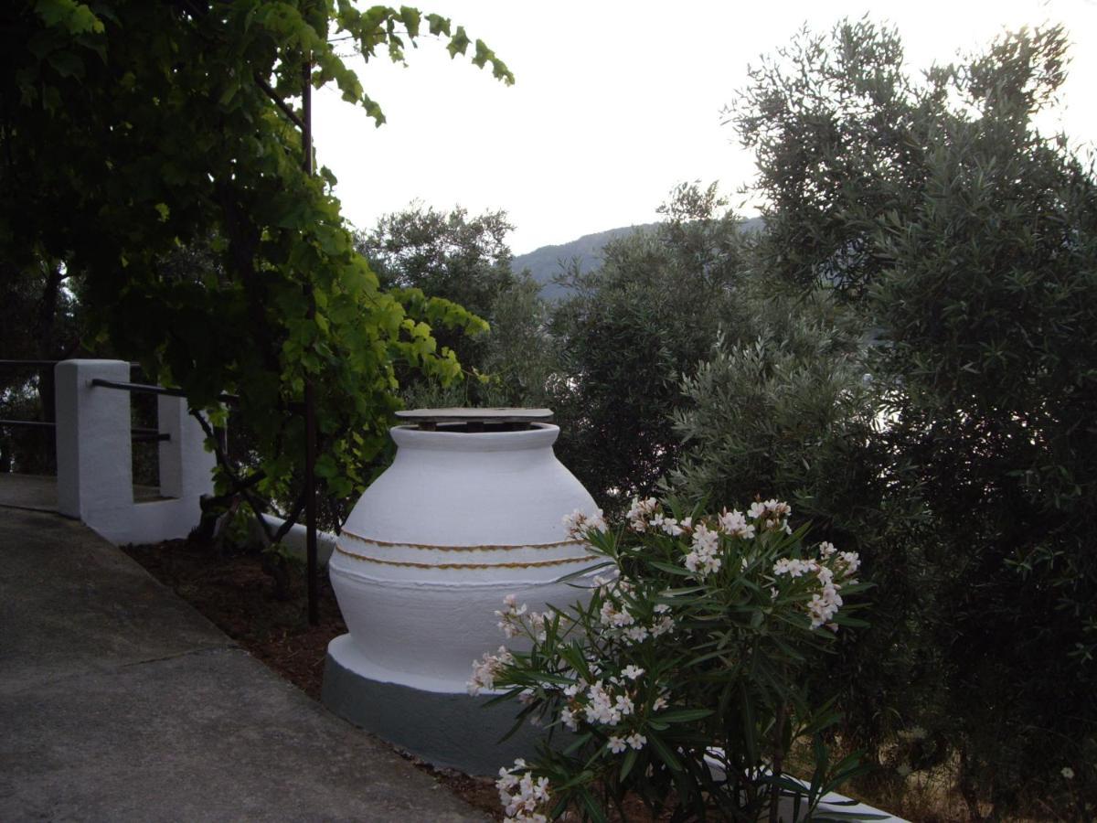 Ourania Sea Breath Apartment Punta Exterior foto